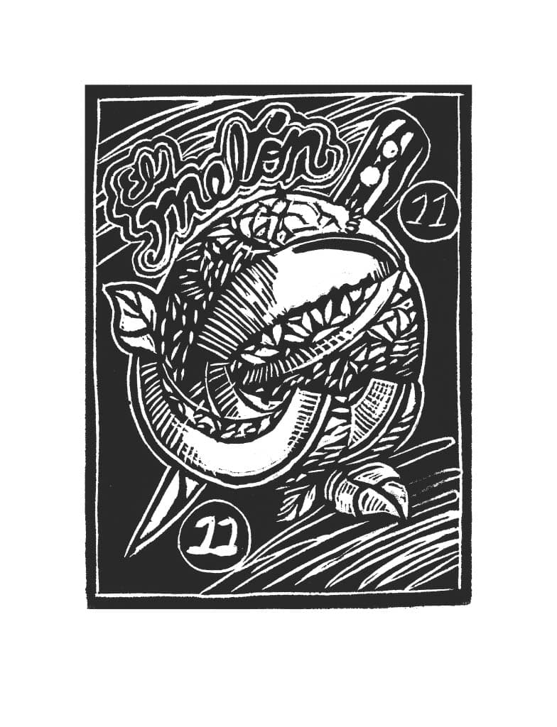 Carta de Lotería 11 - EL MELON