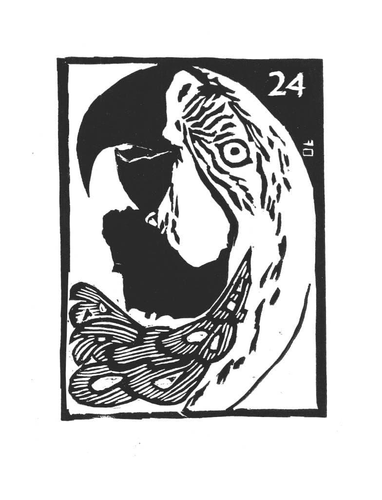 Carta de Lotería 24 - EL COTORRO