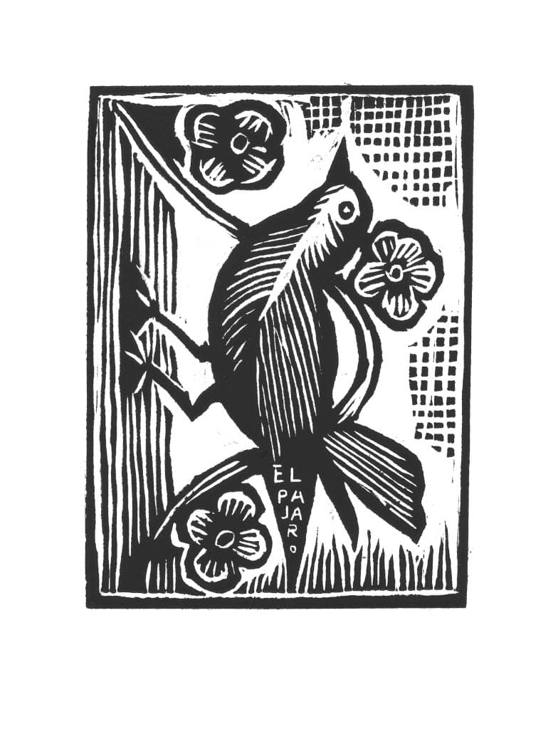 Carta de Lotería 30 - EL PAJARO