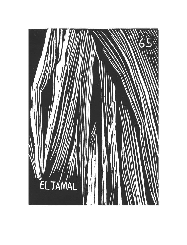 Carta de Lotería 65 - Tamal